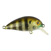Atomic Hardz 38 Mid Crank Bait - tackleaddiction.com.au