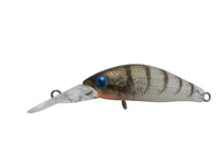 Jackall Chubby 35SP Deep Minnow Crank Bait - tackleaddiction.com.au