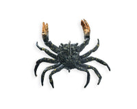 Chasebaits Crusty Crab 50mm 2 Pack - tackleaddiction.com.au