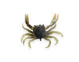 Chasebaits Crusty Crab 50mm 2 Pack - tackleaddiction.com.au