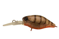 Jackall Chubby 38F Deep Crank Bait - tackleaddiction.com.au