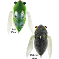 Atomic Hardz Cicada 35mm Surface Lure - tackleaddiction.com.au