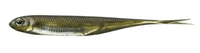 Fish Arrow J Split 3" Soft Bait - tackleaddiction.com.au