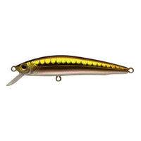 Ecogear MW62F Jerk bait - tackleaddiction.com.au