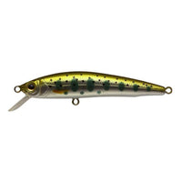 Ecogear MW62F Jerk bait - tackleaddiction.com.au