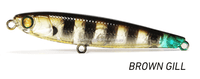 Pro Lure SF62 Pencil Surface Lure - tackleaddiction.com.au