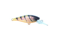Hurricane Lures TWITCH 40 Crank Bait - tackleaddiction.com.au