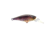 Hurricane Lures TWITCH 40 Crank Bait - tackleaddiction.com.au