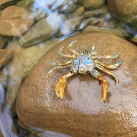 Chasebaits Crusty Crab 50mm 2 Pack - tackleaddiction.com.au