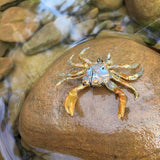 Chasebaits Crusty Crab 50mm 2 Pack - tackleaddiction.com.au