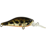 Atomic Hardz Shad 40 Deep Crank Bait - tackleaddiction.com.au