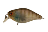 Jackall Chubby 38F MR Crank Bait - tackleaddiction.com.au