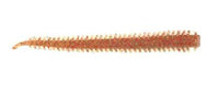 Berkley Gulp 4" Sandworm Soft Bait - tackleaddiction.com.au