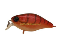 Jackall Chubby 38F Shallow Rattle Crank Bait - tackleaddiction.com.au
