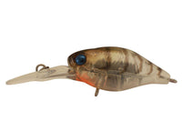 Jackall Chubby 38F Deep Crank Bait - tackleaddiction.com.au