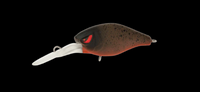 Hurricane Lures Fat 37 Deep Crank Bait - tackleaddiction.com.au