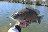 Tribe Twin Jig Spinner with Olympic Blades - tackleaddiction.com.au