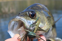 ZMAN CrossEyeZ Power Finess Jig 3/8oz - tackleaddiction.com.au