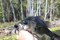 ZMAN CrossEyeZ Power Finess Jig 3/8oz - tackleaddiction.com.au