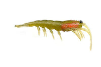 Pro Lure Clone Prawn 92mm Soft Bait - tackleaddiction.com.au
