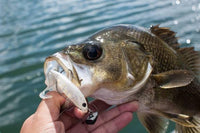 Damiki Mausrin Jig head swinging - tackleaddiction.com.au