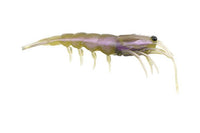 Pro Lure Clone Prawn 92mm Soft Bait - tackleaddiction.com.au