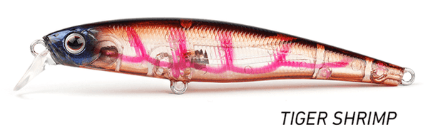 Pro Lure SF62 Pencil Top Water Fishing Lure