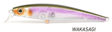 Pro Lure ST72 Shallow Crank Bait Minnow - tackleaddiction.com.au