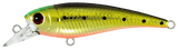 Hurricane Lures Twitch 50 Shallow Crank Bait - tackleaddiction.com.au