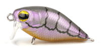 Pro Lure XS36 Crank Bait - tackleaddiction.com.au